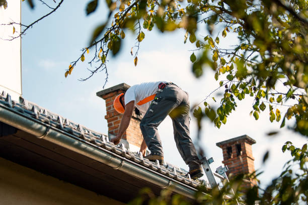 Best Storm Damage Roof Repair  in Trappe, MD