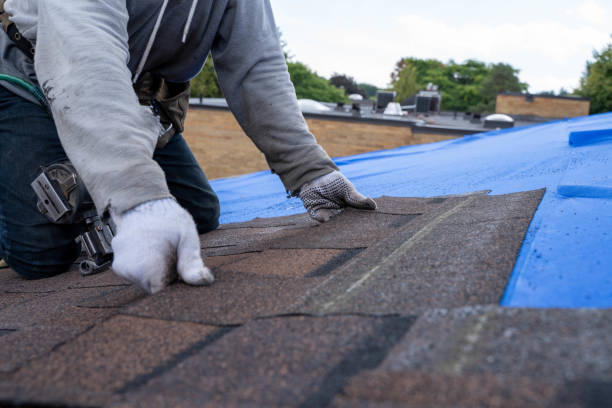Best Local Roofing Companies  in Trappe, MD